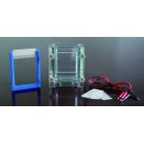 北京六一 DYCZ-28B型 单板夹芯式垂直电泳仪（大号）