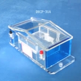 北京六一 DYCP-31A型 琼脂糖水平电泳仪（微型）