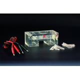 北京六一 DYCP-31C型 琼脂糖水平电泳仪（小号）