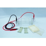 北京六一 DYCP-31CN型 琼脂糖水平电泳仪（小号）