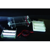 北京六一 DYCP-31E型 琼脂糖水平电泳仪（中号）