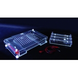 北京六一 DYCP-31F型 琼脂糖水平电泳仪（大号）