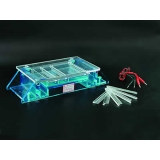 北京六一 DYCP-33A型 琼脂糖水平电泳仪（中号）