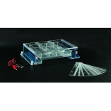 北京六一 DYCP-34A型 琼脂糖水平电泳仪（大号）