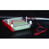 北京六一 DYCP-44P型 快速凝胶电泳仪