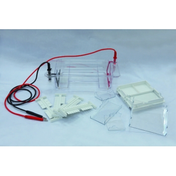 北京六一 DYCP-31DN型 琼脂糖水平电泳仪（小号）