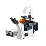 上海缔伦光学XSP-63XA倒置荧光显微镜