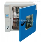 上海慧泰300℃电热恒温鼓风干燥箱DHG-9075A