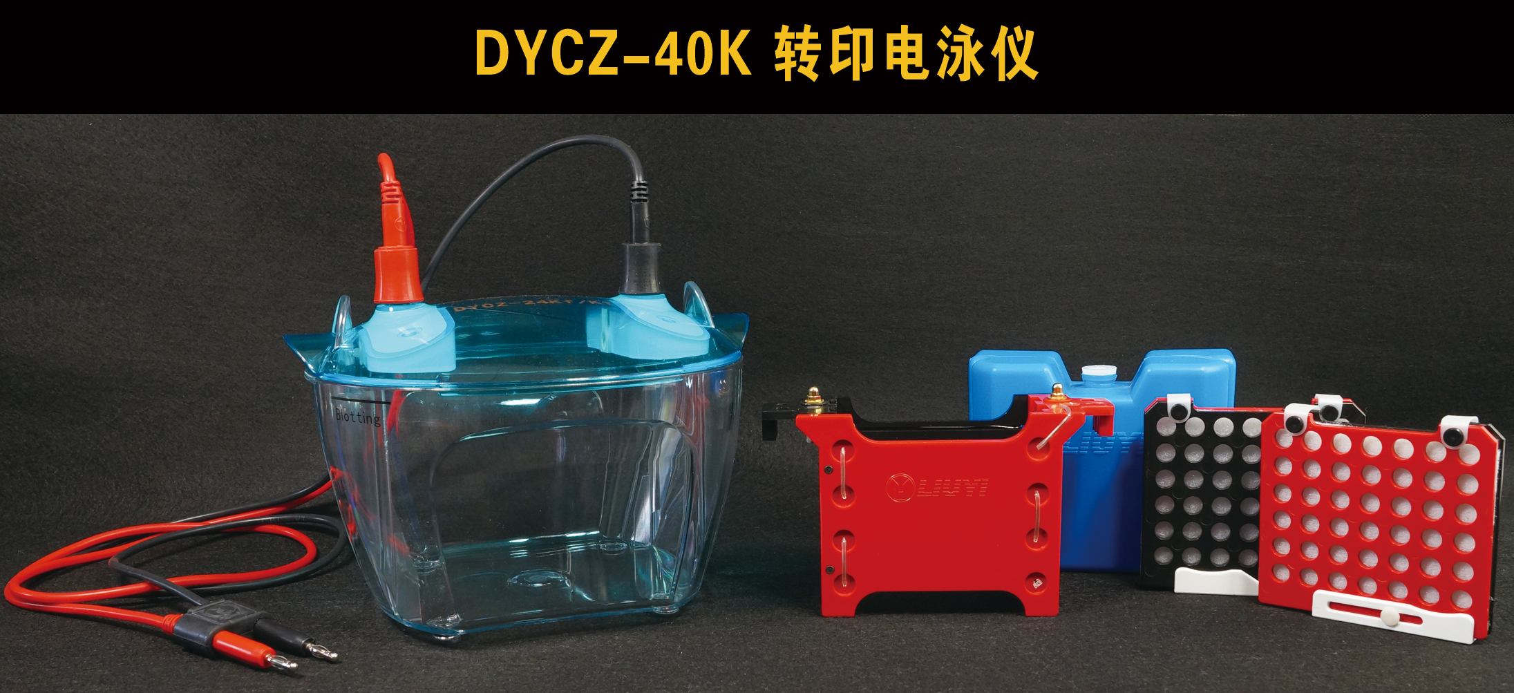 北京六一DYCZ-40K 转印电泳仪